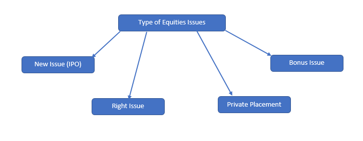 Different Type of Equity Issue